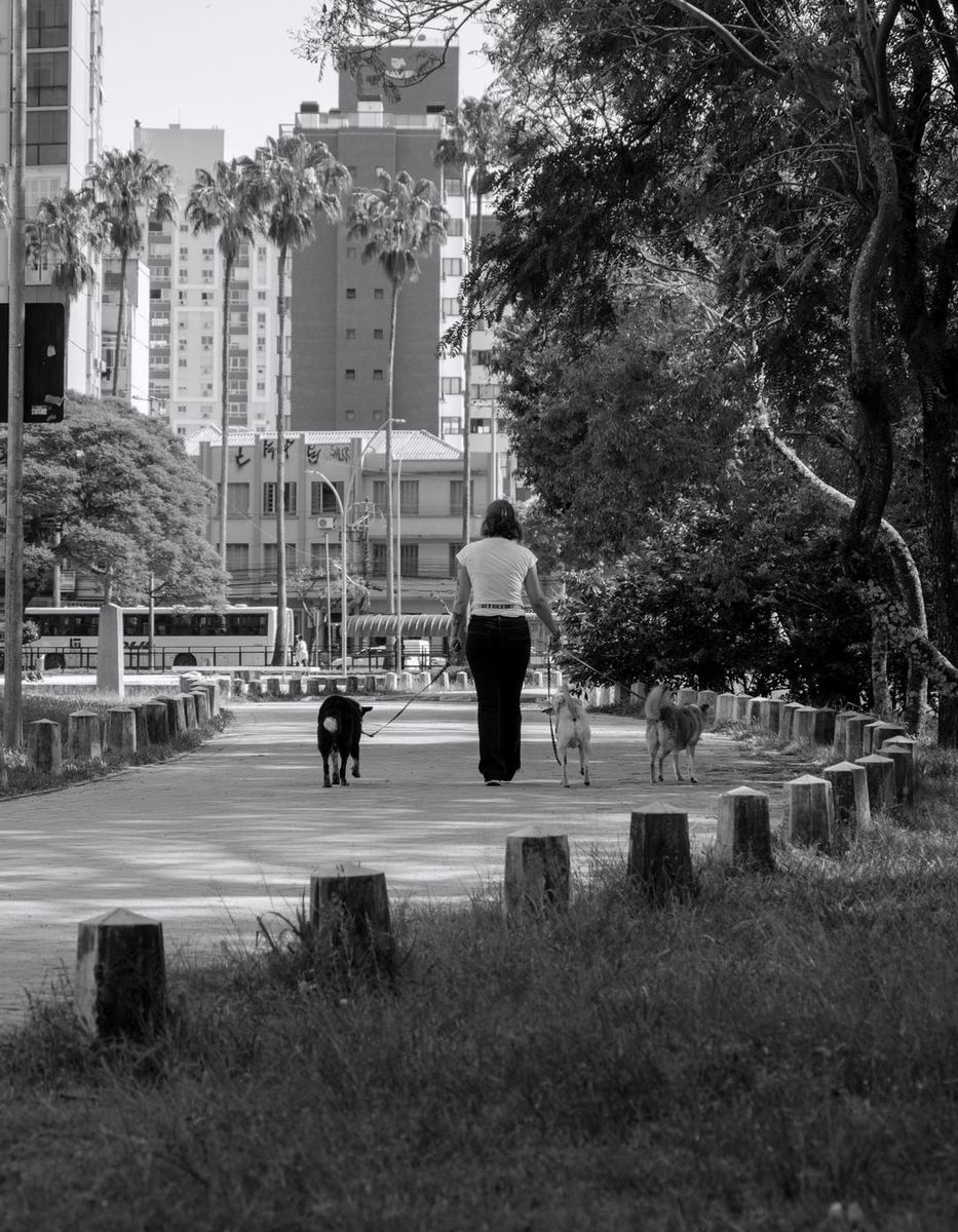 A woman and her dog walking a tree-lined city path in black and white